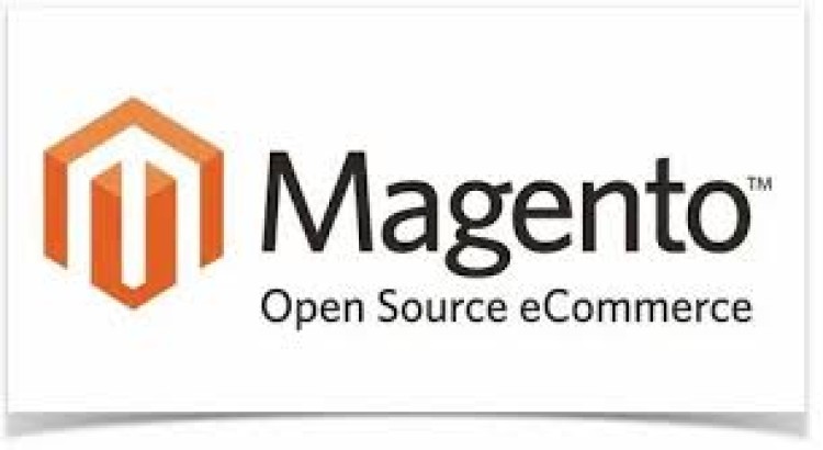 I will design and develop magento 2 ecommerce store