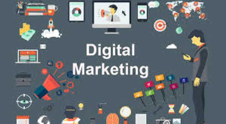 I will provide a digital marketing audit