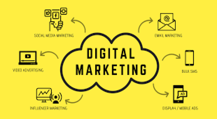I will provide a digital marketing consultation
