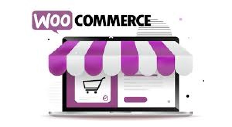 I will design a WooCommerce multivendor ecommerce store