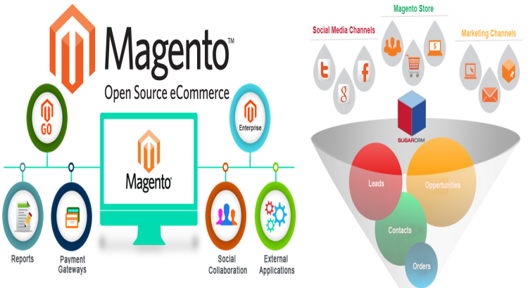 I will develop, design and support a magento 2 website