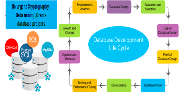 I will do urgent Cryptography , Data mining ,Oracle database projects