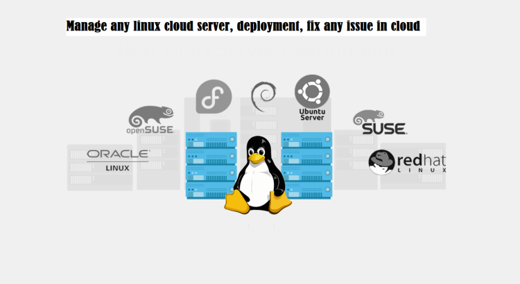 I will manage any linux cloud server, deployment, fix any issue in cloud