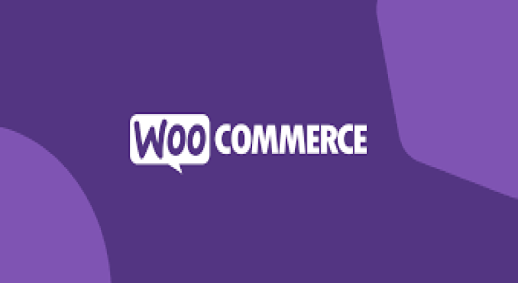 I will design and build a custom woocommerce website