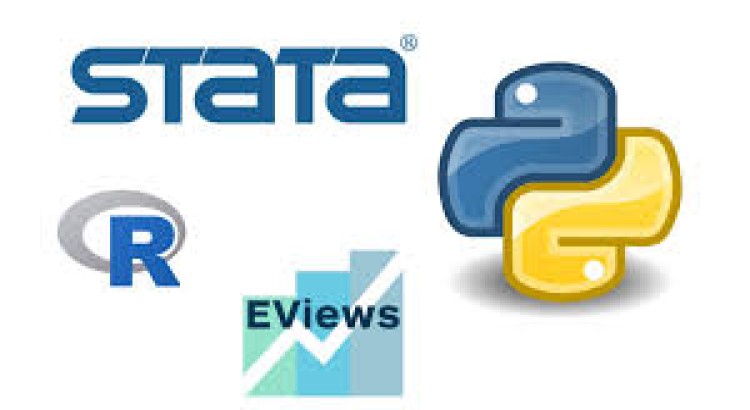 I will do financial economics, economics writing econometrics by r, stata, eviews , python