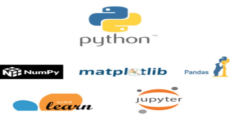 I will do anything related to python, pandas, numpy, matplotlib, jupyter project