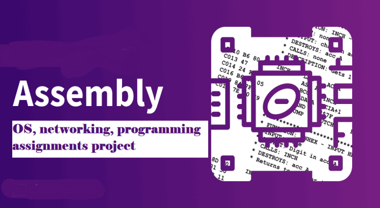 I will do assembly language, OS, networking , programming assignments project