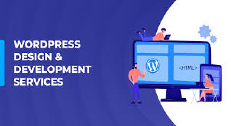 I will do wordpress website development, design or redesign wordpress blog
