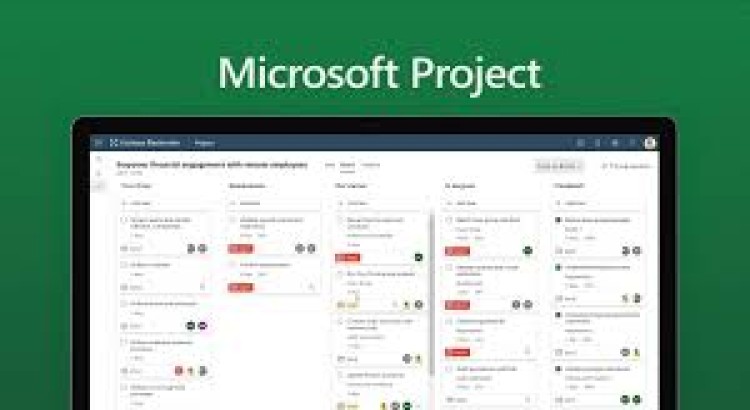 I will create ms project gantt chart and project plans