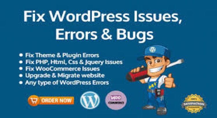 I will do wordpress troubleshooting, support or help