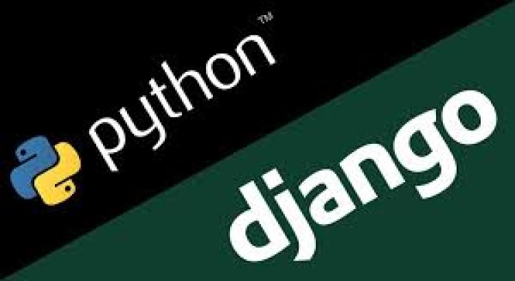 I will create custom web app, api in python django or flask