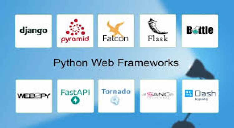 I will design a python website