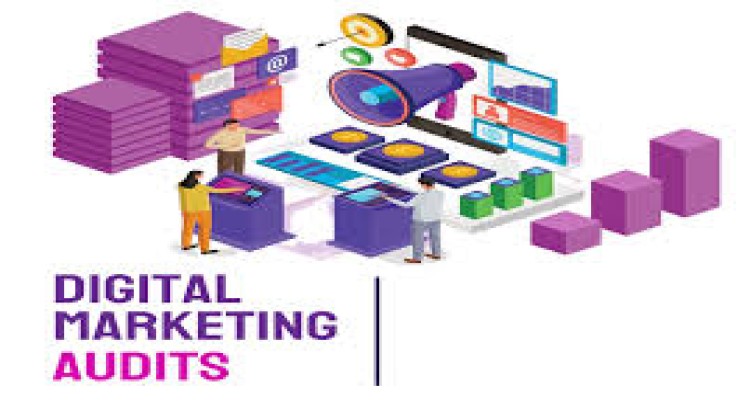 I will provide a digital marketing audit