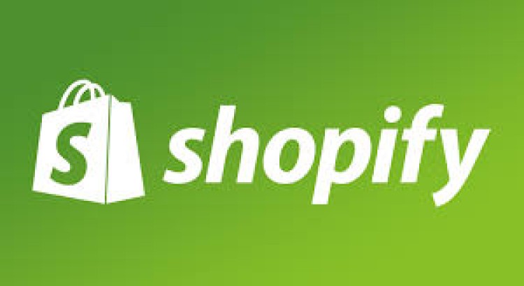 I will design or redesign a Shopify store