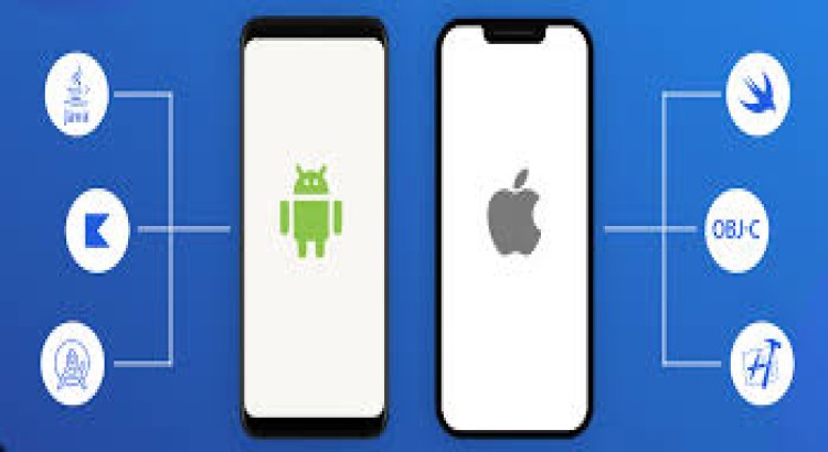 I will design & develop Android & ios app on flutter or react native
