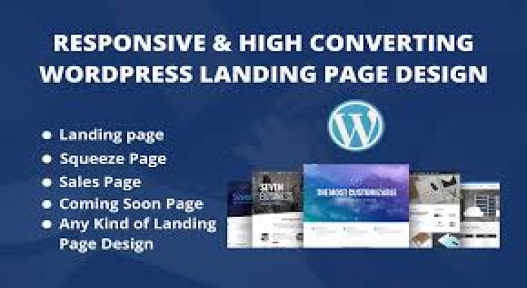 I will Build wordpress landing page design or sales page design