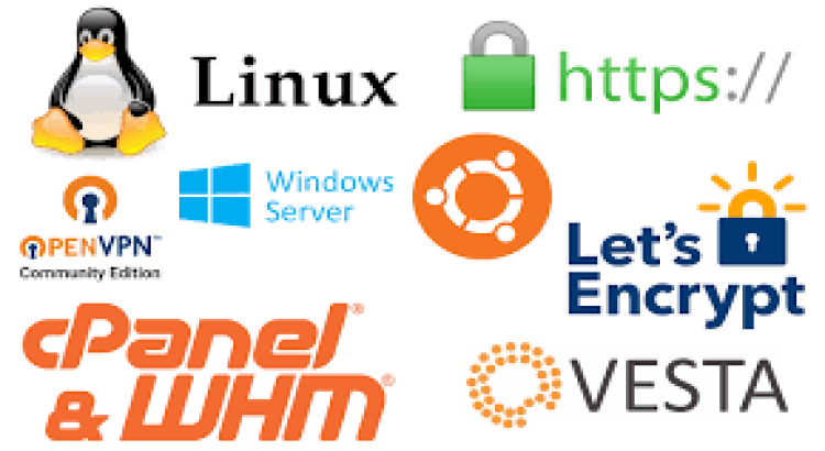I will fix smtp, email, dns, mx, mysql, cpanel whm, webmin, virtualmin, plesk issues