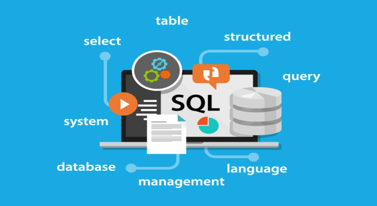 I will design database, erds, write sql, postgresql, and oracle plsql
