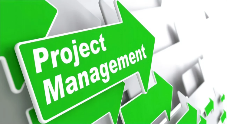 I will do gantt chart, business plan, project management, marketing ppt, report writing